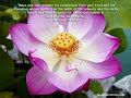 English Nasheed - His Name is Muhammad (PBUH)