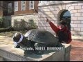 Pokemon spoof live action battle: Pikachu vs Testudo