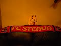 Steaua #1