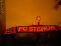 Steaua #1