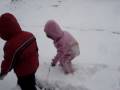 videos de Snowy fun.