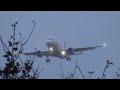 Airbus A319-115 CJ (French Air Force One) in Berlin-Tegel TXL