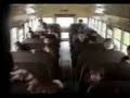 School bus crash