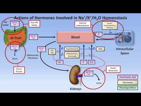 how to treat metabolic alkalosis