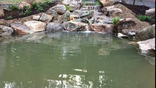 Natural Pond with Waterfall