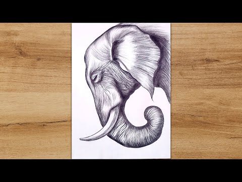video-linktoworks-How to Draw a Realistic Elephant Head for Beginners |...