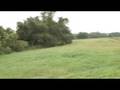 Align T-Rex 250 - Intro & 3D Flight
