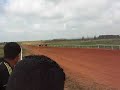 Horse race by Ofer