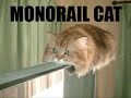 FuNnY GiFs
