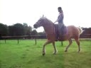 na bokmomenten