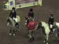 Jag  Candy, v�r sista hoppt�vling tsm.