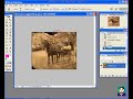 Photo Restoration #3: Quick Restore (Horse & Carriage) Photo Restoration #3: Quick Restore (Horse & Carriage)