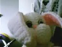 mad easter bunny #13