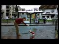 faze comice - zboara caini