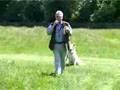 Amazing Dog Training Aid