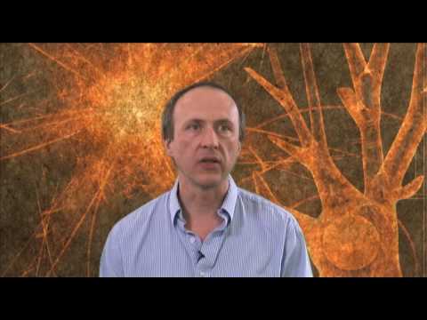 What Happens In the Brain During Nondual Meditation?