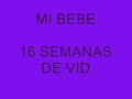 ECOGRAFIA DE MI BEBE... 16 SEMANAS