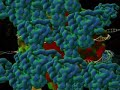 Histone Deacetylation