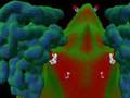 Histone Deacetylation