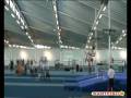 Dartfish Simulcam - Polevault