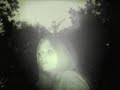 Sufjan Stevens - Concerning the UFO Sighting Near Highland