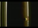 Scared Kid