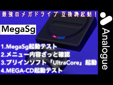 動画