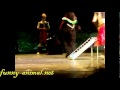 Circus show: smart bear color sorting