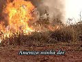 Queimadas