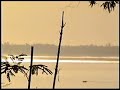 Río