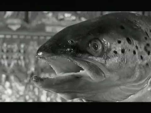 Three Minute Film School "Surrealism"
