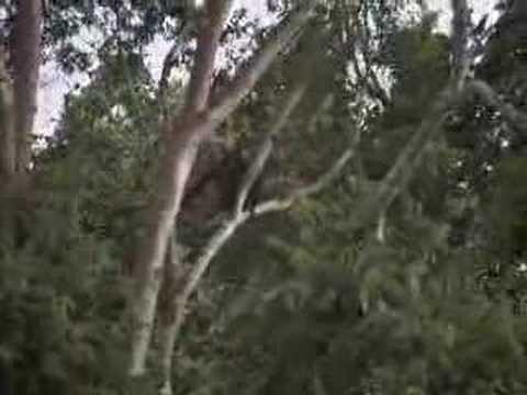 S Club 7 Go Wild - Jon - Part 3 of 4