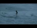 Surf en Arenal de Mor�s
