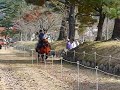 津和野「鷲宮八幡宮」秋の流鏑馬by紅葉台木曽馬 その６