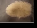 Star Trek Original Series Tribble