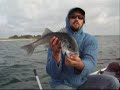 juin 2007 baroleurre, bar,seabass juin 2007 baroleurre, bar,seabass