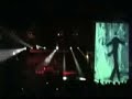 THE AVALANCHES - Live at Splendour 2006 Part 1