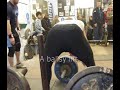 olly deadlifts adlington christmas meet