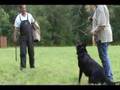 videos de kougar baltimore may 25