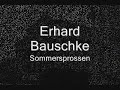 Erhard Bauschke  - Sommersprossen