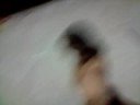 Thumbnail #1