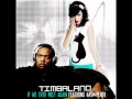 Timbaland - If We Ever Meet Again (DJ SHAKEY REMIX)
