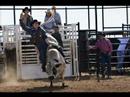 Frick Bull Riding Frick Bull Riding