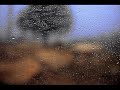 Hossein Behroozi Nia & Pejman Hadadi - Midnight Sun 01
