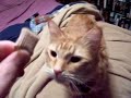 Milow Plays With A Toe Cushion Again!