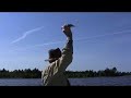 Bald eagles catching fish Bald eagles catching fish