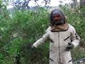 la-desaparici-n-de-las-abejas-neurotxicos-.html