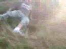 koe 4adk inpression of a moran