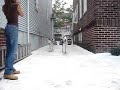 taz-at-the-dog-park.html