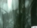 Deep Jungle @ Chez Valentin Gallery (Graff video by LWO 2007